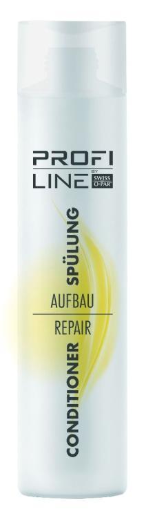 Profi Line Aufbau Conditioner