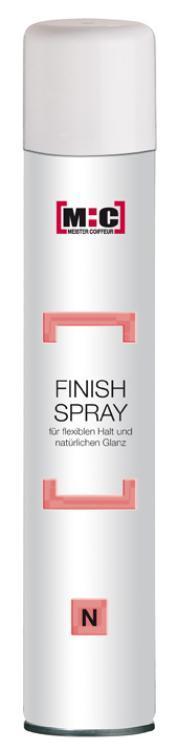 Meister Coiffeur Finish Spray N normaler Halt