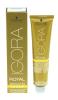 Igora Royal Absolutes 9-560 Extra Hellblond Gold Schoko Natur